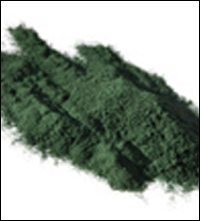 blue green algae